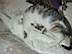 Tessa028.jpg